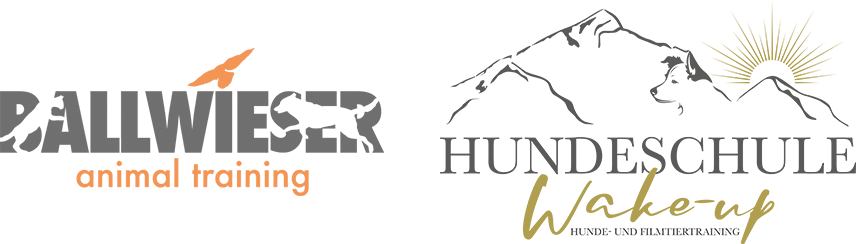 Chicken Camp Logo